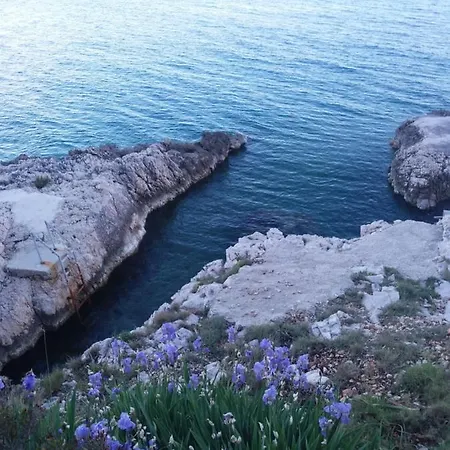 Ema * Trogir
