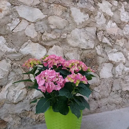 Ema Lägenhet Trogir
