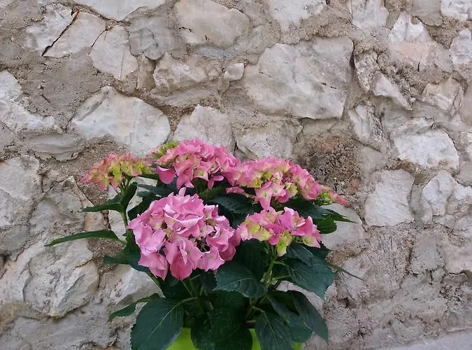 Ema Apartman Trogir