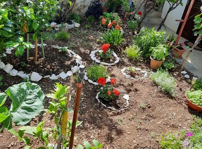 Ema Apartman Trogir